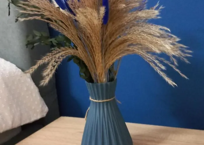 Lindor House * Tirana